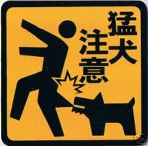 Funny Dog Sign